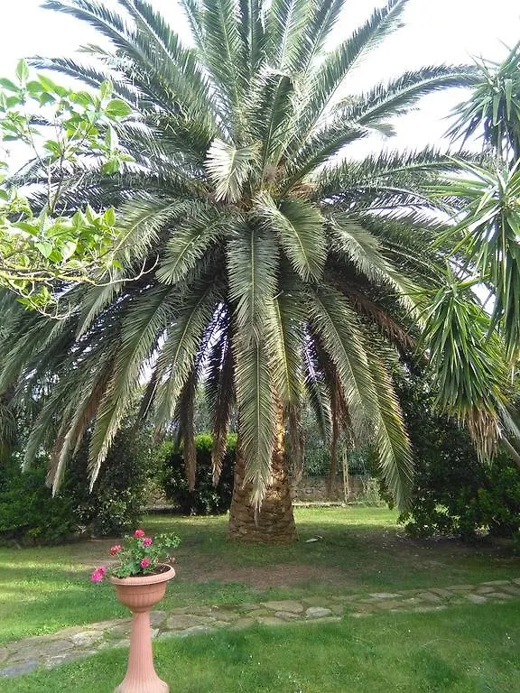La Palma Villa Magliano in Toscana